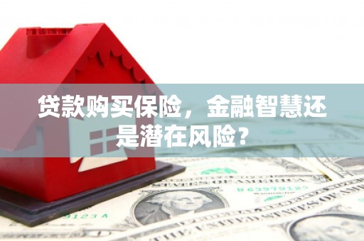 埌东贷款购买保险，金融智慧还是潜在风险？
