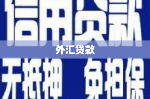 埌东外汇贷款