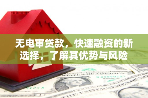 埌东无电审贷款，快速融资的新选择，了解其优势与风险