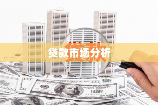 埌东贷款市场分析