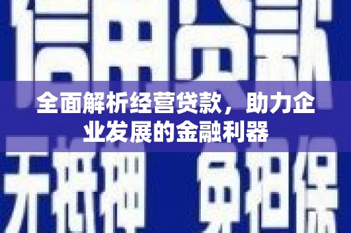 埌东全面解析经营贷款，助力企业发展的金融利器