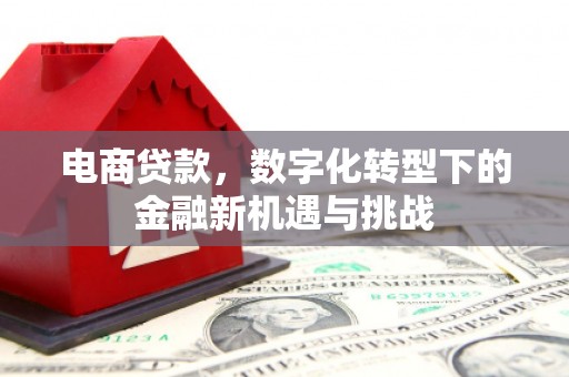 埌东电商贷款，数字化转型下的金融新机遇与挑战