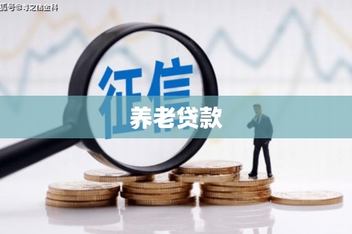 埌东养老贷款