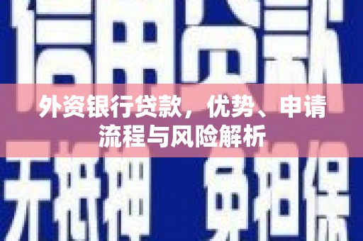 埌东外资银行贷款，优势、申请流程与风险解析