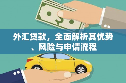 埌东外汇贷款，全面解析其优势、风险与申请流程