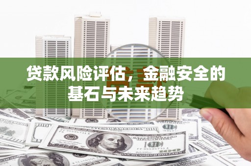 埌东贷款风险评估，金融安全的基石与未来趋势