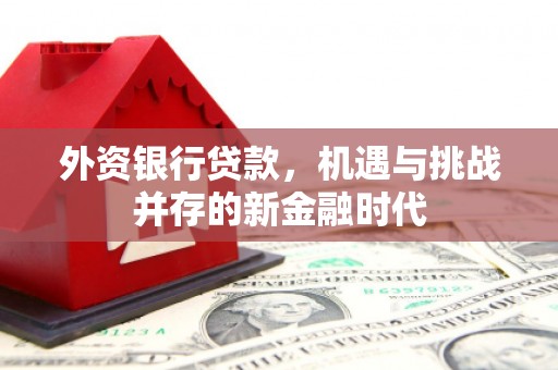 埌东外资银行贷款，机遇与挑战并存的新金融时代