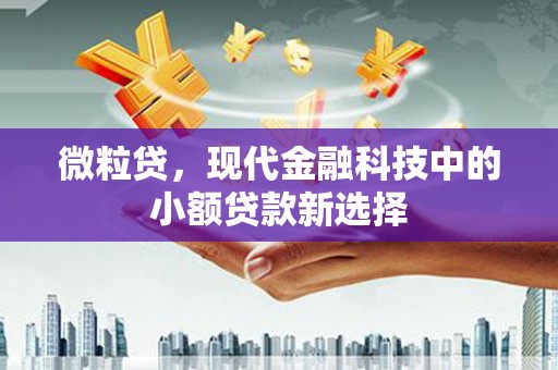 埌东微粒贷，现代金融科技中的小额贷款新选择