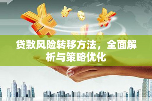 埌东贷款风险转移方法，全面解析与策略优化