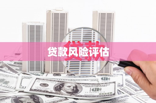 埌东贷款风险评估