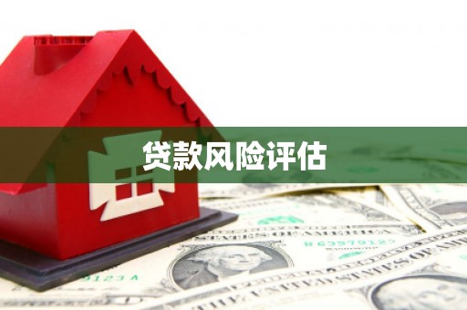 埌东贷款风险评估