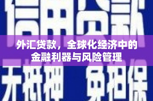 埌东外汇贷款，全球化经济中的金融利器与风险管理