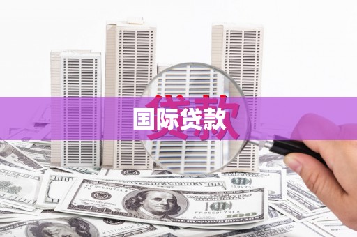 埌东国际贷款