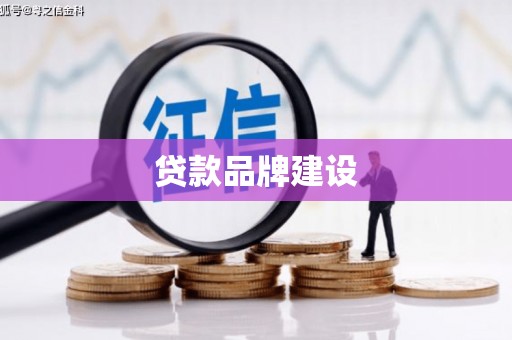 埌东贷款品牌建设