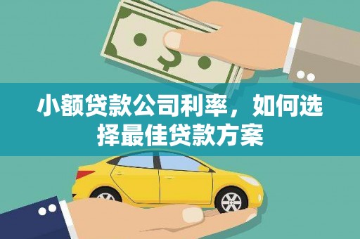 埌东小额贷款公司利率，如何选择最佳贷款方案