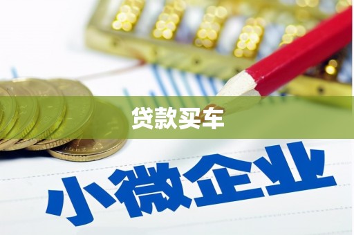 埌东贷款买车