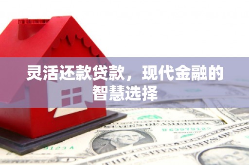 埌东灵活还款贷款，现代金融的智慧选择