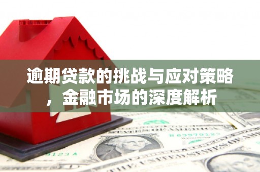 埌东逾期贷款的挑战与应对策略，金融市场的深度解析