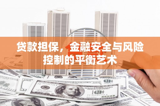 埌东贷款担保，金融安全与风险控制的平衡艺术