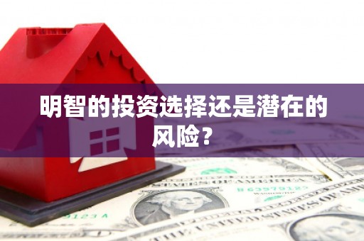 埌东明智的投资选择还是潜在的风险？