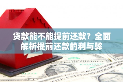 埌东贷款能不能提前还款？全面解析提前还款的利与弊