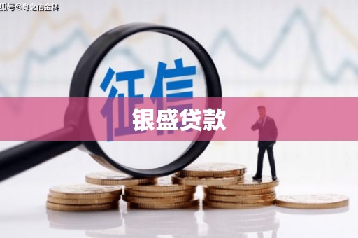 埌东银盛贷款