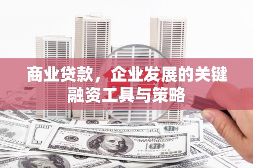 埌东商业贷款，企业发展的关键融资工具与策略