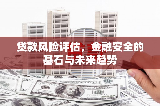 埌东贷款风险评估，金融安全的基石与未来趋势