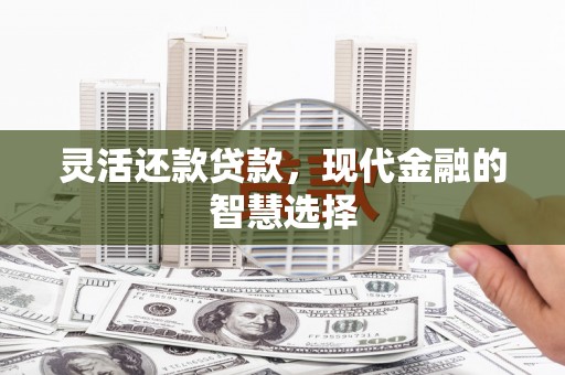 埌东灵活还款贷款，现代金融的智慧选择