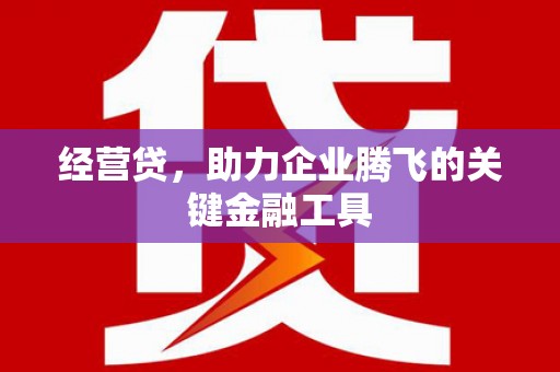 埌东经营贷，助力企业腾飞的关键金融工具
