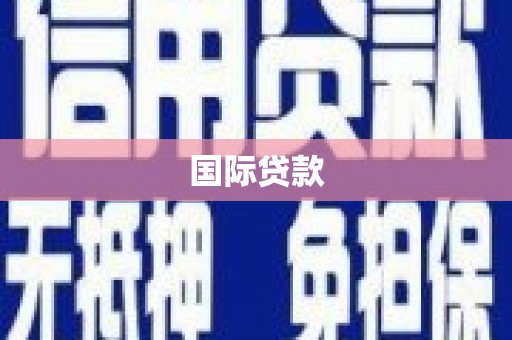 埌东国际贷款