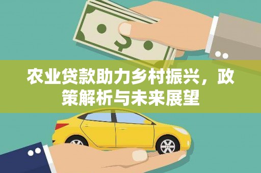 埌东农业贷款助力乡村振兴，政策解析与未来展望