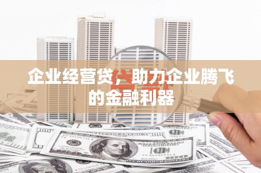 埌东企业经营贷，助力企业腾飞的金融利器