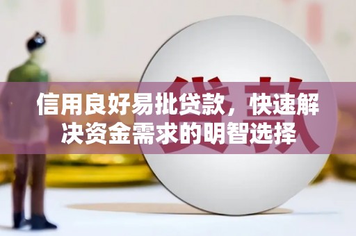 埌东信用良好易批贷款，快速解决资金需求的明智选择