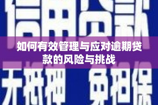 埌东如何有效管理与应对逾期贷款的风险与挑战