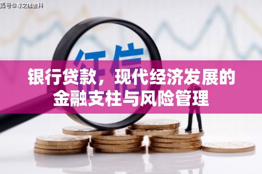 埌东银行贷款，现代经济发展的金融支柱与风险管理