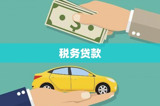 埌东税务贷款
