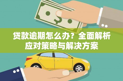 埌东贷款逾期怎么办？全面解析应对策略与解决方案