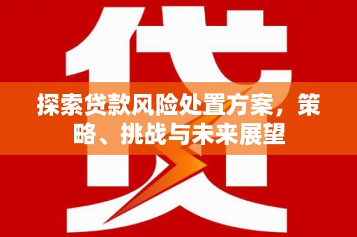 埌东探索贷款风险处置方案，策略、挑战与未来展望