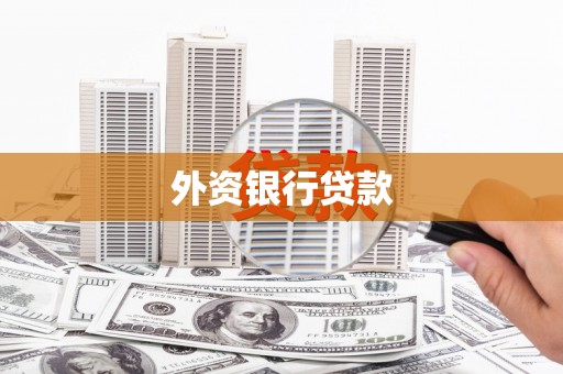 埌东外资银行贷款