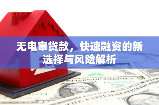 埌东无电审贷款，快速融资的新选择与风险解析