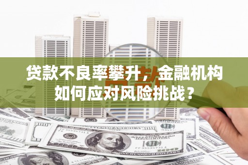 埌东贷款不良率攀升，金融机构如何应对风险挑战？