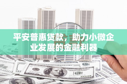 埌东平安普惠贷款，助力小微企业发展的金融利器