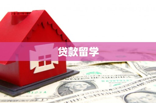 埌东贷款留学