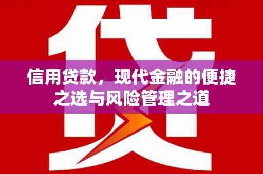 埌东信用贷款，现代金融的便捷之选与风险管理之道