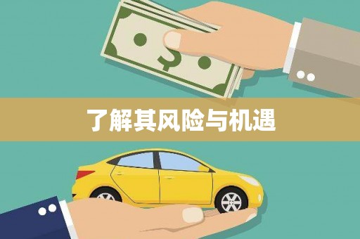埌东了解其风险与机遇