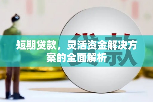 埌东短期贷款，灵活资金解决方案的全面解析