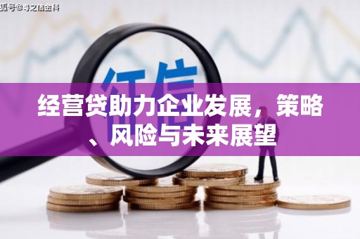 埌东经营贷助力企业发展，策略、风险与未来展望