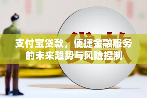 埌东支付宝贷款，便捷金融服务的未来趋势与风险控制