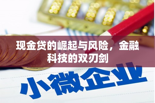 埌东现金贷的崛起与风险，金融科技的双刃剑